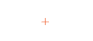 Bush and Vine logo